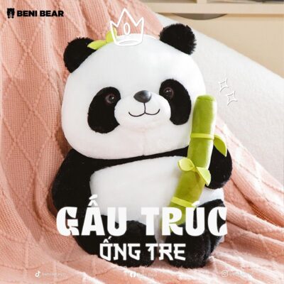 Gấu Trúc Ống Tre