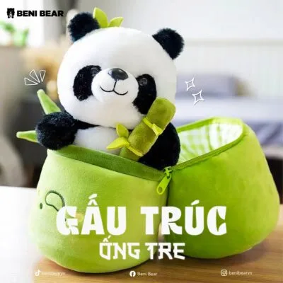 Gấu Trúc Ống Tre