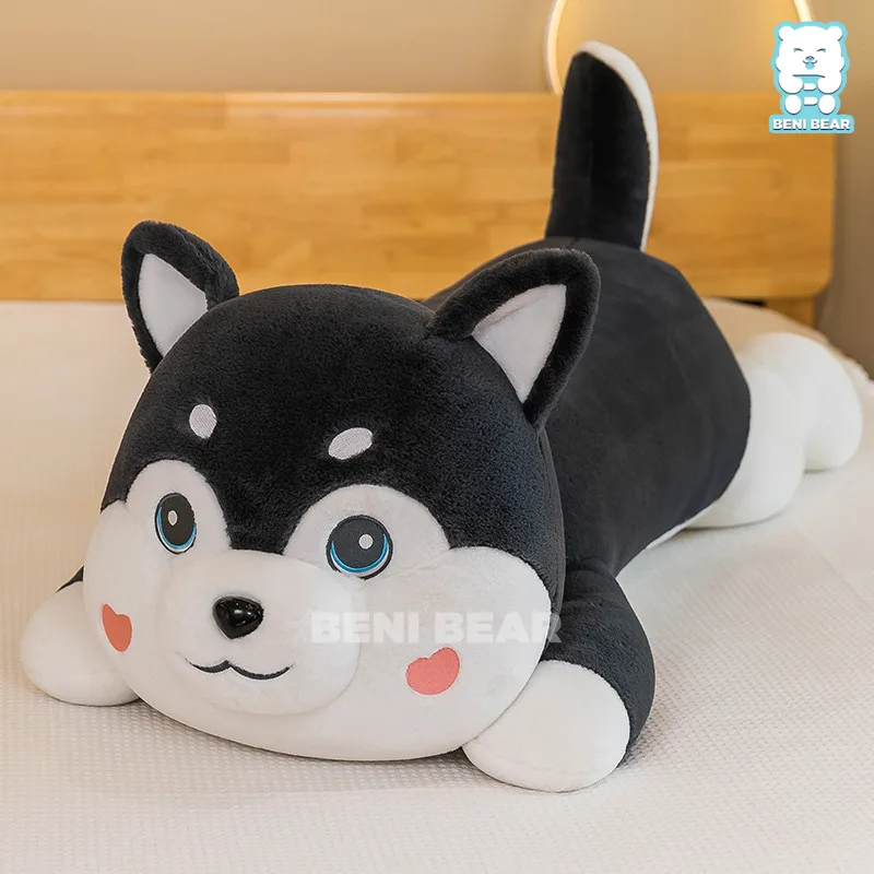 Chó Bông Husky Dây Cổ Đỏ