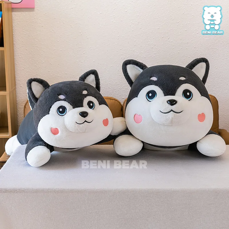 Chó Bông Husky Dây Cổ Đỏ