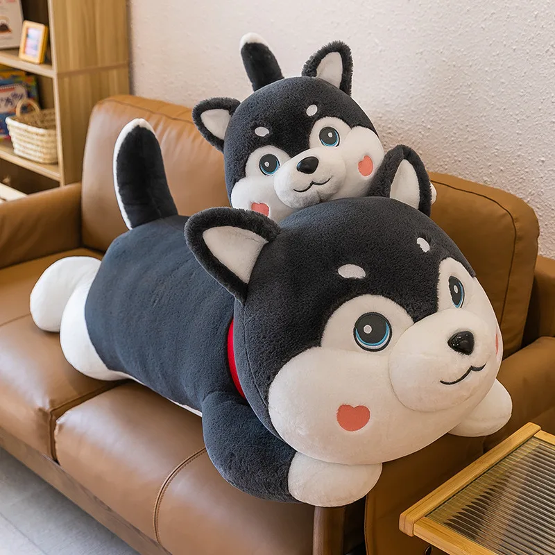 Chó Bông Husky Dây Cổ Đỏ