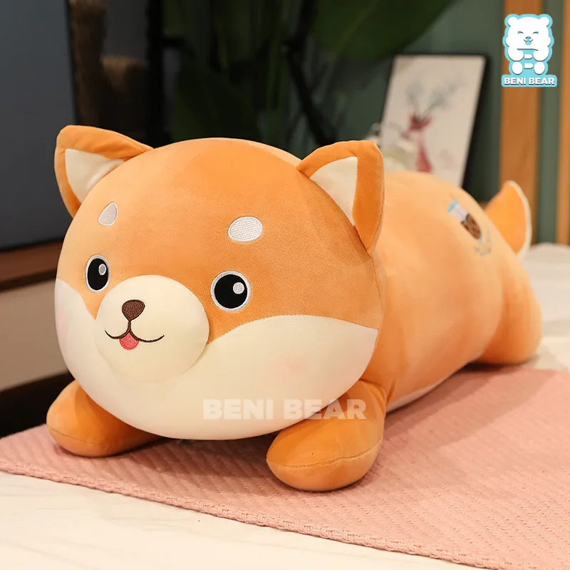 Chó Bông Shiba Nằm Trà Sữa