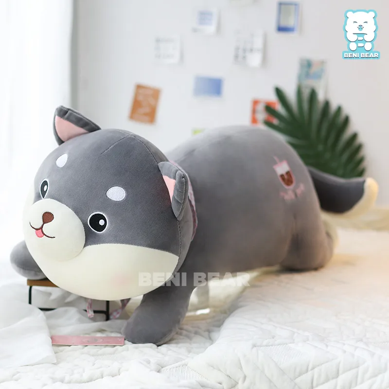 Chó Bông Shiba Nằm Trà Sữa
