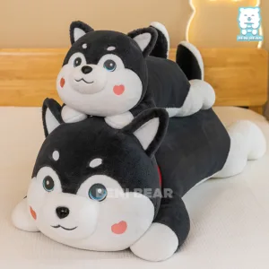 Chó Bông Husky Dây Cổ Đỏ