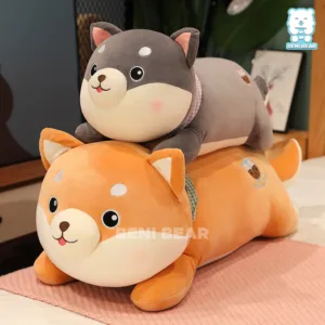 Chó Bông Shiba Nằm Trà Sữa