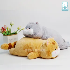 Mèo Vàng Nằm