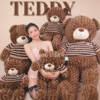Gấu Teddy Lông Xoắn màu nâu socola – thiết kế nổi bật, dễ thương