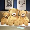 Gấu Teddy Đeo Yếm