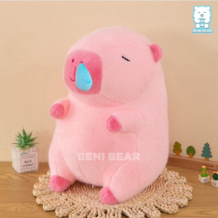 Chuột Capybara Hồng Nước Mũi