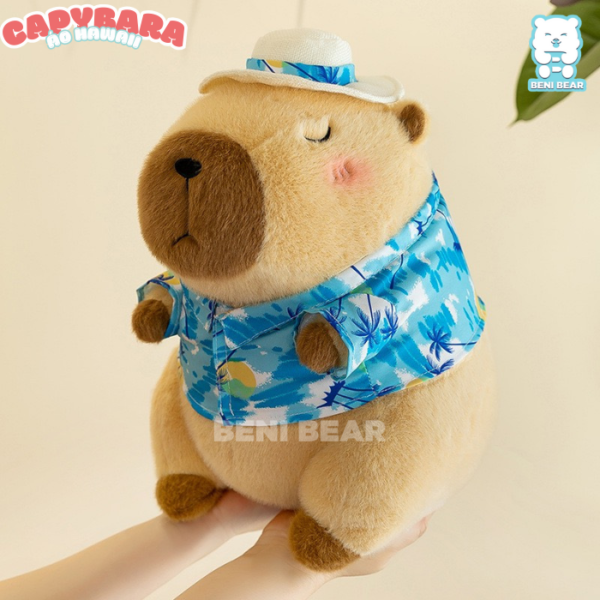 Chuột Capybara Đeo Phao Vịt, Mặc Áo Hawaii