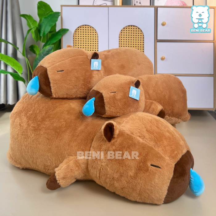 Chuột Capybara Nằm Nước Mũi