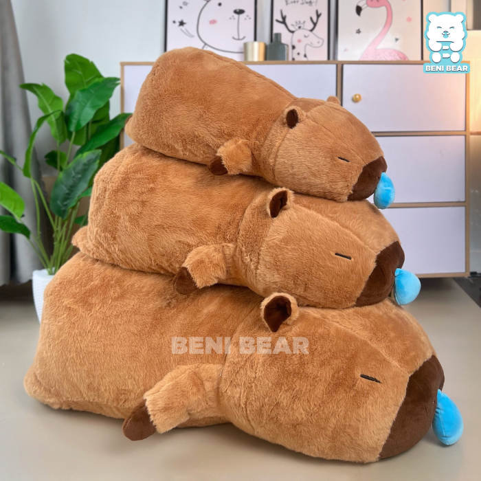 Chuột Capybara Nằm Nước Mũi