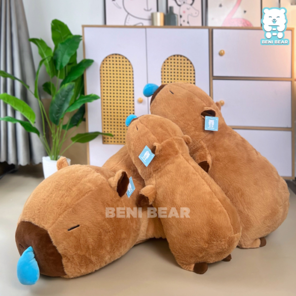 Capybara Nằm Nước Mũi