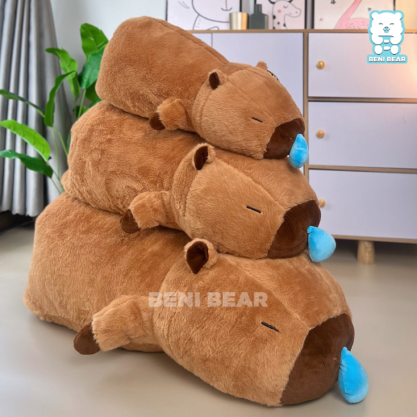 Capybara Nằm Nước Mũi