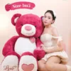Gấu ngồi ngoan nghe bạn kể chuyện, tâm sự gì cũng biết giữ kín 🤫