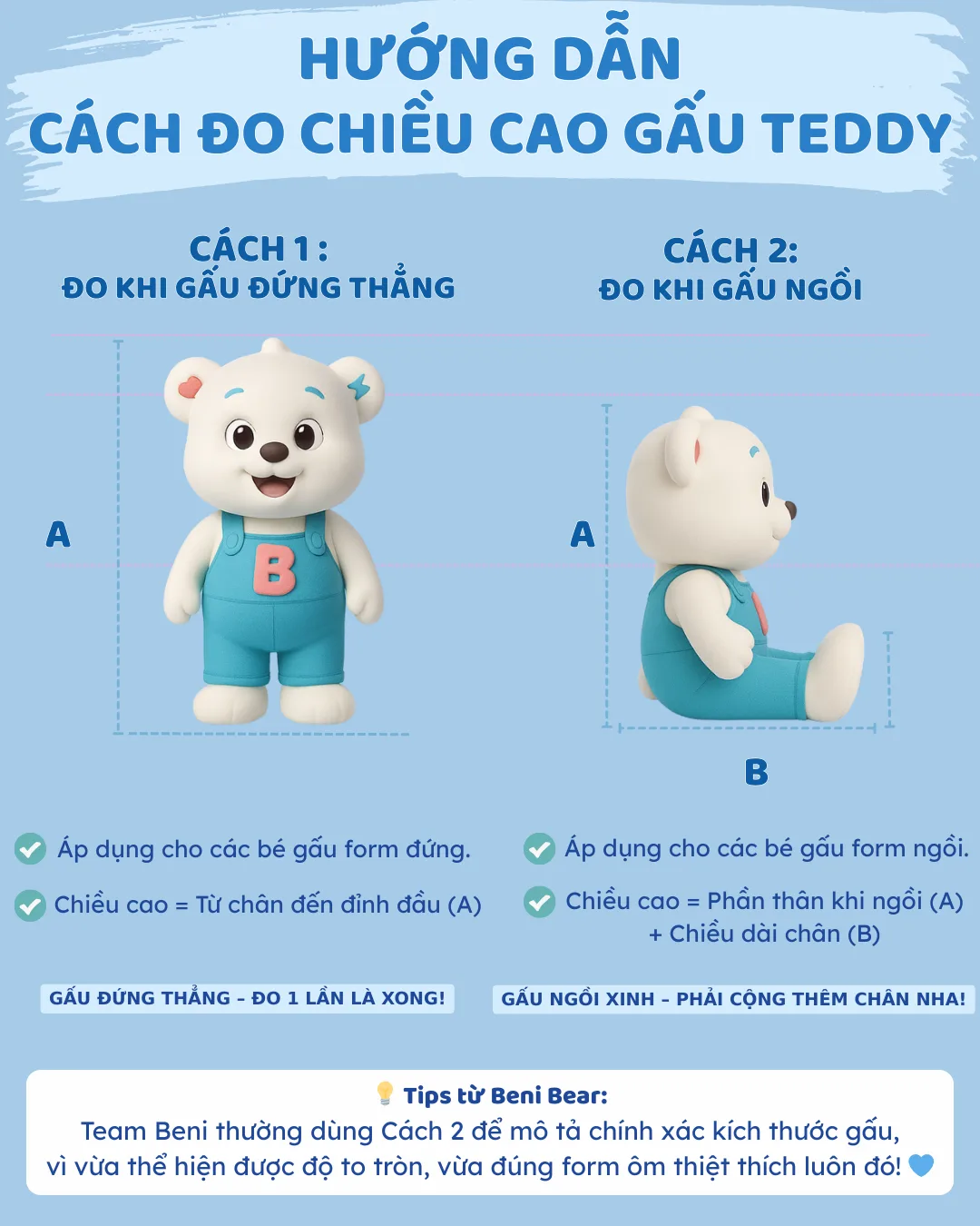 Hướng dẫn cách đo chiều cao Gấu Teddy