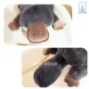 Đuôi to – chân bự – gác đâu cũng êm, ôm đâu cũng mát!