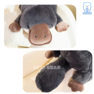 Đuôi to – chân bự – gác đâu cũng êm, ôm đâu cũng mát!