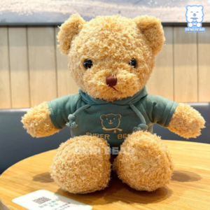 Teddy Lông Chỉ Áo Nỉ 🧥 Mặc hoodie chất chơi – phối màu trendy, cá tính
