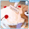 Gấu Teddy Bánh Kem Độc Đáo: Mang niềm vui đến cho người thân yêu của bạn.