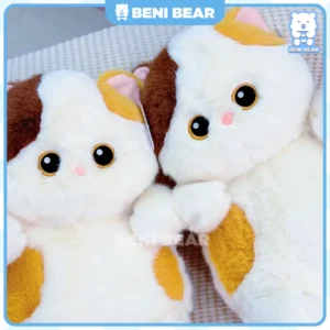 Thú Bụng Tròn Mèo Tam Thể với cặp mắt long lanh đáng yêu