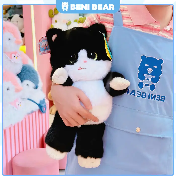 Thú chạy - Mèo Đen