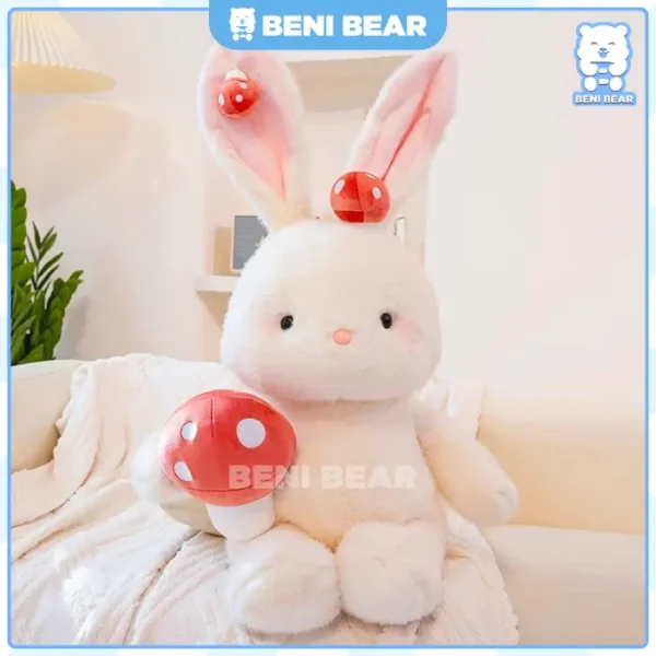 Hình Ảnh Sản Phẩm