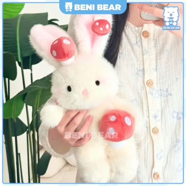 Hình Ảnh Sản Phẩm